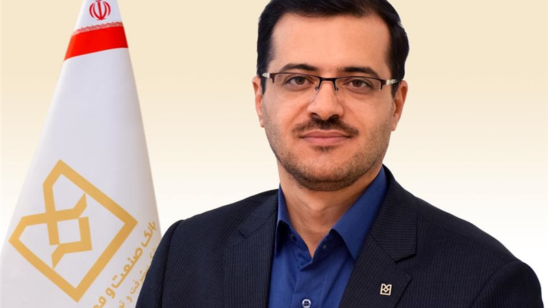 نقش نیروی انسانی در پیشبرد اهداف توسعه‌ای دولت در بانك‌های تخصصی