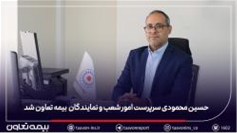 حسین محمودی سرپرست مدیریت امور شعب و نمایندگان بیمه تعاون شد