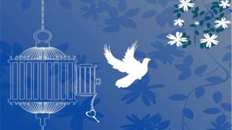 آزادی تمامی مادران زندانی جرائم مالی غیرعمد تا سقف 250 میلیون تومان به همت بانک پارسیان