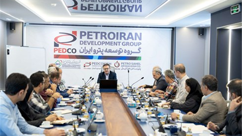 آغاز به کار کارگروه راهبری فعالیت های مقدماتی پروژه SSD در شرکت توسعه پترو ایران