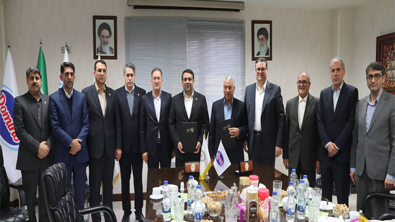 نجارزاده در بازدید از شرکت دومینو: حمایت از تولید و امنیت غذایی در اولویت است/ بانک ملی ایران؛ پیشران اشتغال و امنیت غذایی