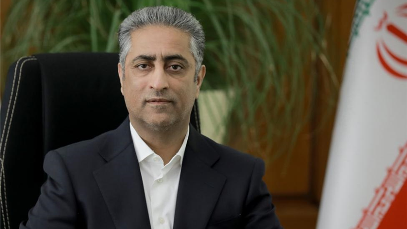 مدیرعامل بانك صنعت و معدن از تصویب افزایش سرمایه این بانك در شورای عالی هماهنگی اقتصادی خبر داد