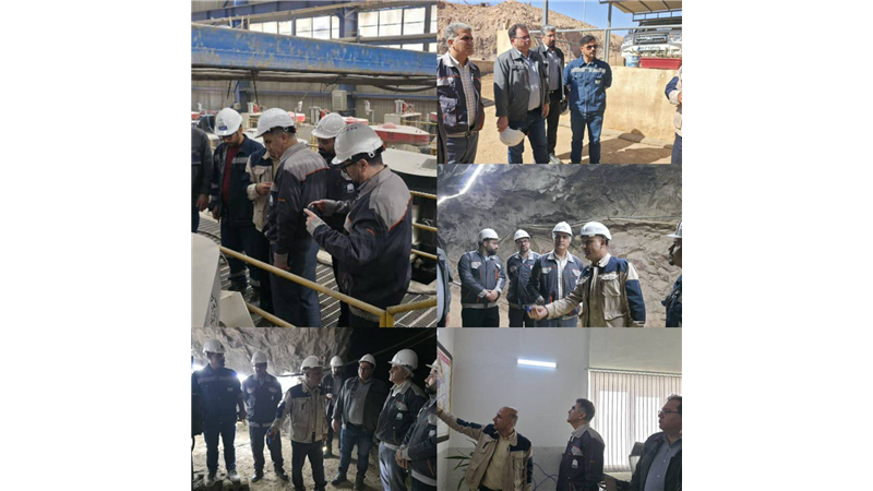 زارع: تعامل سازنده بخش دولتی و خصوصی برای توسعه صنعت ضروری است