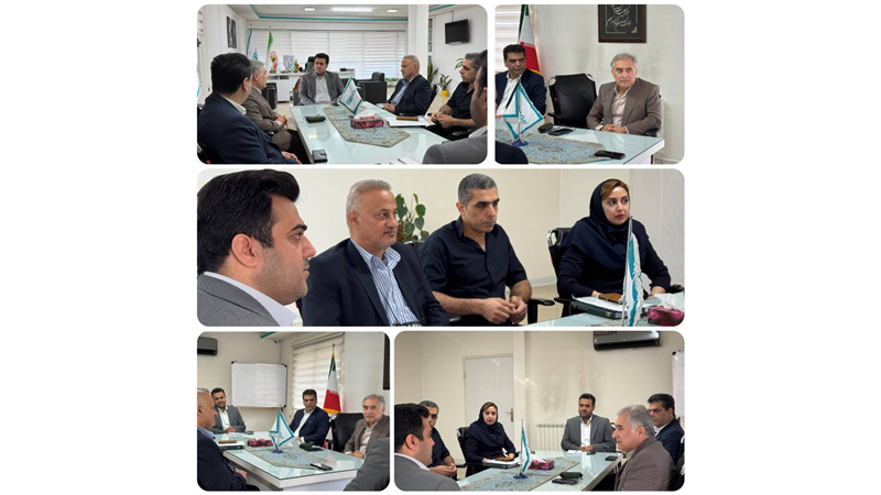 نشست بررسی راهکارهای ارائه و توسعه خدمات پرستاری در منزل با حضور معاون بهداشت و درمان بنیاد شهید و امور ایثارگران مازندران 