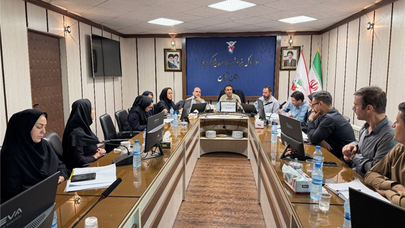 تأکید بر تسهیل ارائه خدمات درمانی به ایثارگران در نشست مشترک بیمه دی و بنیاد شهید استان زنجان 