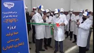افتتاح همزمان ۹ پروژه صنایع شیر ایران در سه استان کشور 