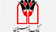 تقدیر رییس سازمان توسعه تجارت ایران از مساعدت های بانک پارسیان در تخصیص هدفمند اعتبارات صادراتی 