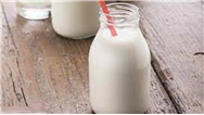 شیر غنی شده با آنتی‌بادی تولید شد 