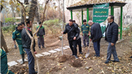 کاشت ۱۴۵۰ اصله نهال در منطقه یک؛ گامی عملی در مسیر طرح ملی یک میلیارد درخت