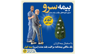 یک سالگی بیمه نامه مراقبت بلند مدت (سرو) بیمه کوثر
