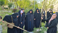 رویش نهال‌های ایستادگی در بوستان مادر منطقه2