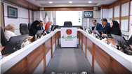 برگزاری جلسات کمیته‌های مبارزه با پولشویی، ریسک، مدیریت تعارض منافع