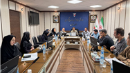 تأکید بر تسهیل ارائه خدمات درمانی به ایثارگران در نشست مشترک بیمه دی و بنیاد شهید استان زنجان 