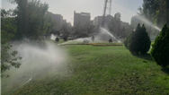 منطقه ۴ پایتخت زیر چتر سبز خدمت/ اجرای گسترده عملیات نگهداشت برای حفظ شادابی شمال شرق شهر